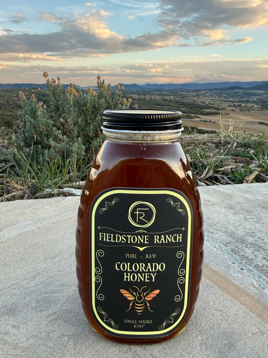 Fieldstone Ranch Honey - 16 oz Jar