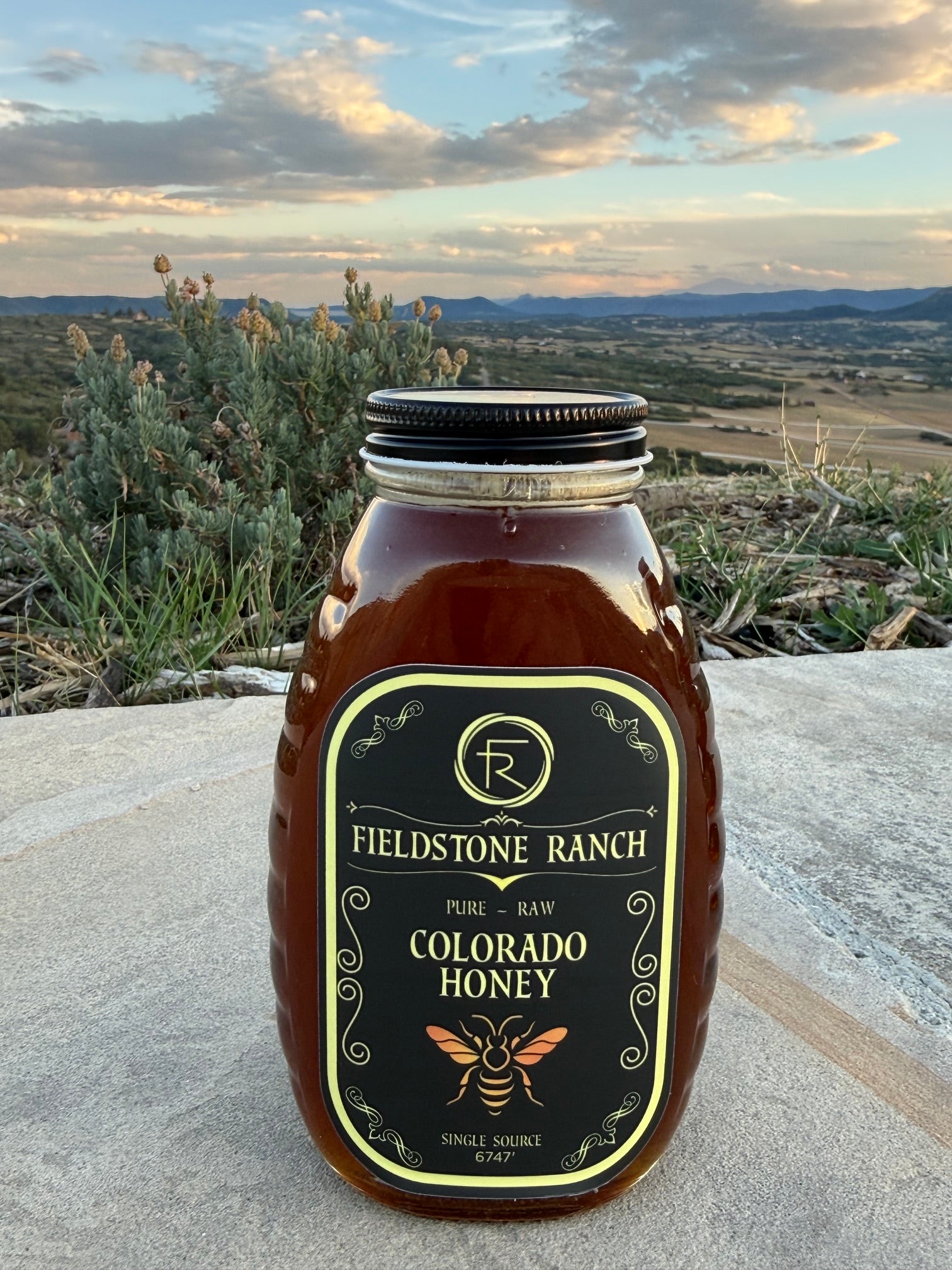 Fieldstone Ranch Honey - 16 oz Jar