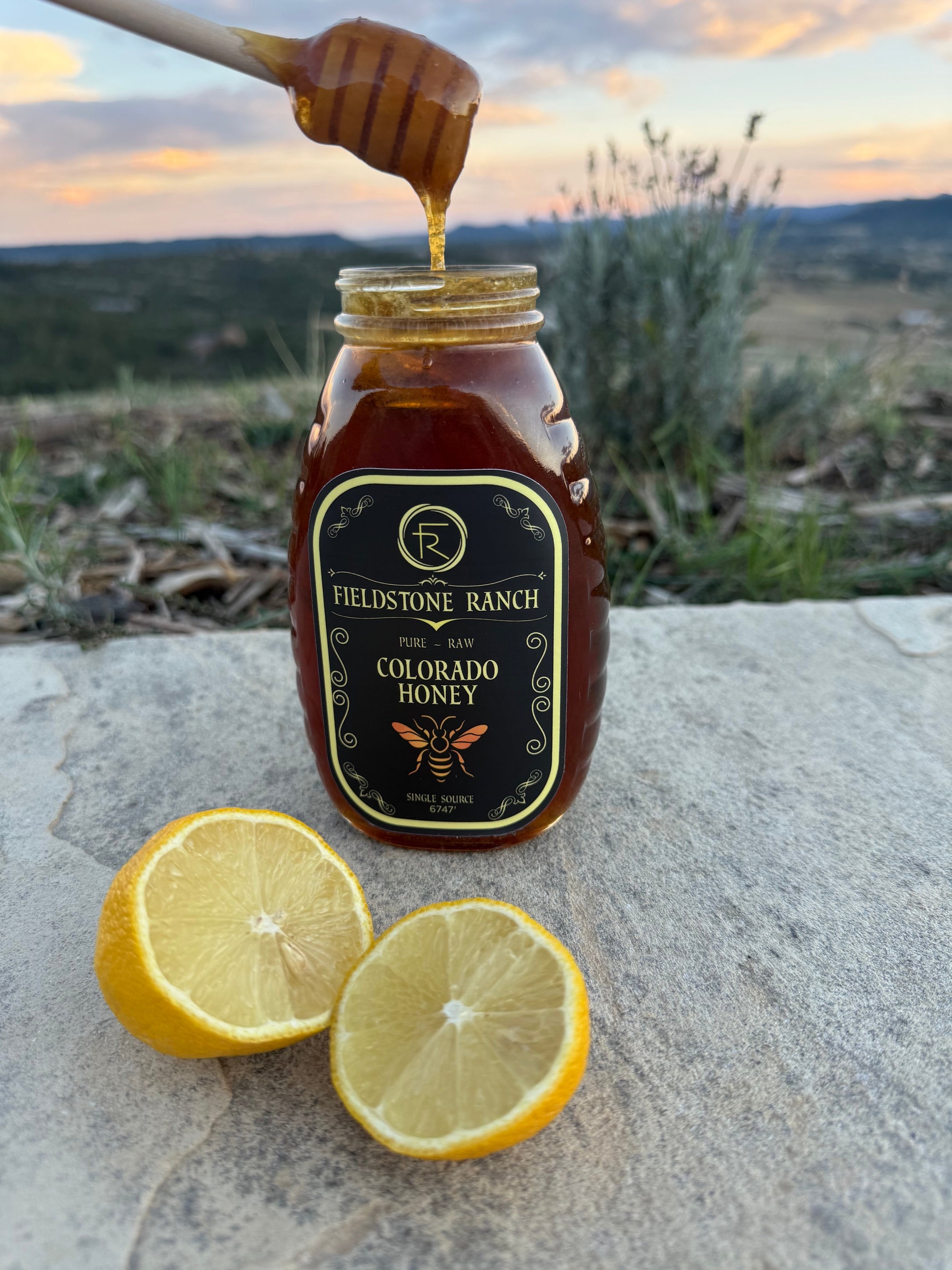Fieldstone Ranch Honey - 16 oz Jar